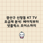 광산구 신창동 KT TV 요금제 분석: 베이직부터 넷플릭스 초이스까지