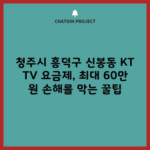 청주시 흥덕구 신봉동 KT TV 요금제, 최대 60만 원 손해를 막는 꿀팁