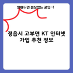 정읍시 고부면 KT 인터넷 가입 추천 정보