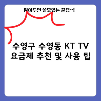 수영구 수영동 KT TV 요금제 추천 및 사용 팁