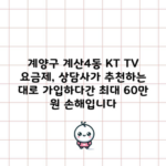 계양구 계산4동 KT TV 요금제, 상담사가 추천하는 대로 가입하다간 최대 60만 원 손해입니다