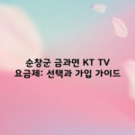 순창군 금과면 KT TV 요금제: 선택과 가입 가이드