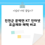 진천군 문백면 KT 인터넷 요금제와 혜택 비교