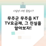 무주군 무주읍 KT TV요금제, 그 진실을 알아보자!