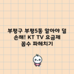 부평구 부평5동 알아야 덜 손해! KT TV 요금제 꼼수 파헤치기