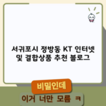 서귀포시 정방동 KT 인터넷 및 결합상품 추천 블로그