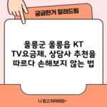 울릉군 울릉읍 KT TV요금제, 상담사 추천을 따르다 손해보지 않는 법