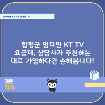 함평군 엄다면 KT TV 요금제, 상담사가 추천하는 대로 가입하다간 손해봅니다!