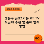 성동구 금호1가동 KT TV 요금제 추천 및 손해 방지 방법