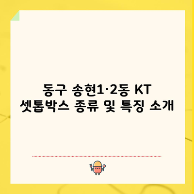 동구 송현1·2동 KT 셋톱박스 종류 및 특징 소개