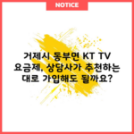 거제시 동부면 KT TV 요금제, 상담사가 추천하는 대로 가입해도 될까요?