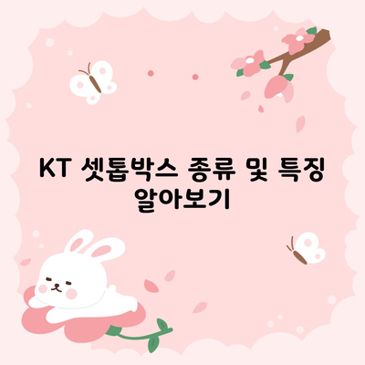 KT 셋톱박스 종류 및 특징 알아보기