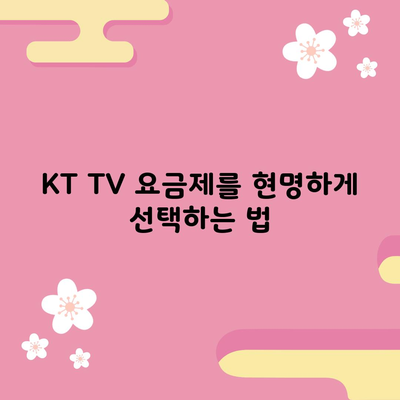 KT TV 요금제를 현명하게 선택하는 법