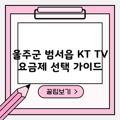 울주군 범서읍 KT TV 요금제 선택 가이드