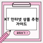 KT 인터넷 상품 추천 가이드