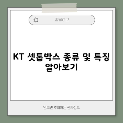 KT 셋톱박스 종류 및 특징 알아보기