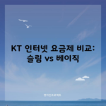 KT 인터넷 요금제 비교: 슬림 vs 베이직