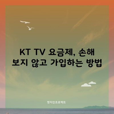 KT TV 요금제, 손해 보지 않고 가입하는 방법