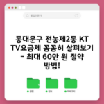 동대문구 전농제2동 KT TV요금제 꼼꼼히 살펴보기 – 최대 60만 원 절약 방법!