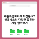 세종특별자치시 다정동 KT 셋톱박스의 다양한 종류와 기능 알아보기