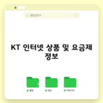 KT 인터넷 상품 및 요금제 정보