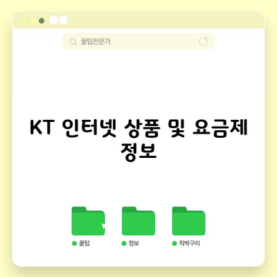 KT 인터넷 상품 및 요금제 정보