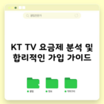 KT TV 요금제 분석 및 합리적인 가입 가이드