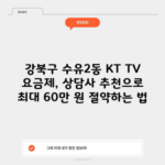 강북구 수유2동 KT TV 요금제, 상담사 추천으로 최대 60만 원 절약하는 법