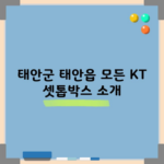 태안군 태안읍 모든 KT 셋톱박스 소개