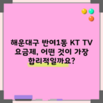 해운대구 반여1동 KT TV 요금제, 어떤 것이 가장 합리적일까요?