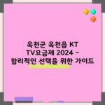 옥천군 옥천읍 KT TV요금제 2024 – 합리적인 선택을 위한 가이드