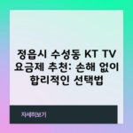 정읍시 수성동 KT TV 요금제 추천: 손해 없이 합리적인 선택법