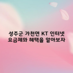 성주군 가천면 KT 인터넷 요금제와 혜택을 알아보자