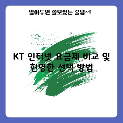 KT 인터넷 요금제 비교 및 현명한 선택 방법