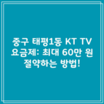 중구 태평1동 KT TV 요금제: 최대 60만 원 절약하는 방법!