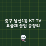 중구 남산1동 KT TV 요금제 꿀팁 총정리