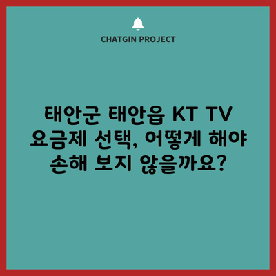 태안군 태안읍 KT TV 요금제 선택, 어떻게 해야 손해 보지 않을까요?