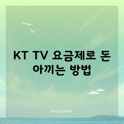 KT TV 요금제로 돈 아끼는 방법