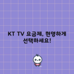 KT TV 요금제, 현명하게 선택하세요!