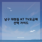 남구 대현동 KT TV요금제 선택 가이드