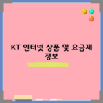 KT 인터넷 상품 및 요금제 정보