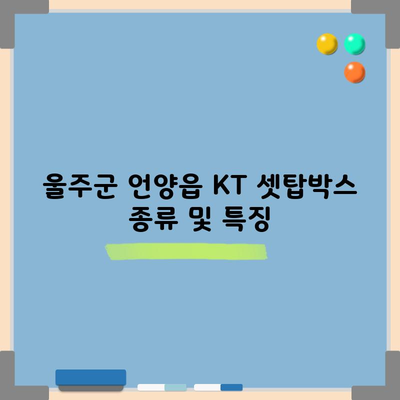 울주군 언양읍 KT 셋탑박스 종류 및 특징