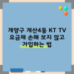 계양구 계산4동 KT TV 요금제 손해 보지 않고 가입하는 법