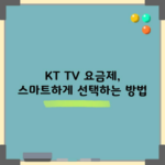 KT TV 요금제, 스마트하게 선택하는 방법