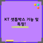 KT 셋톱박스 기능 및 특징!