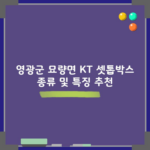 영광군 묘량면 KT 셋톱박스 종류 및 특징 추천