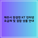 제주시 한경면 KT 인터넷 요금제 및 결합 상품 안내