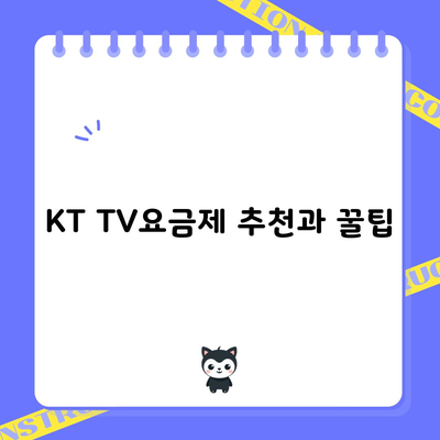 KT TV요금제 추천과 꿀팁