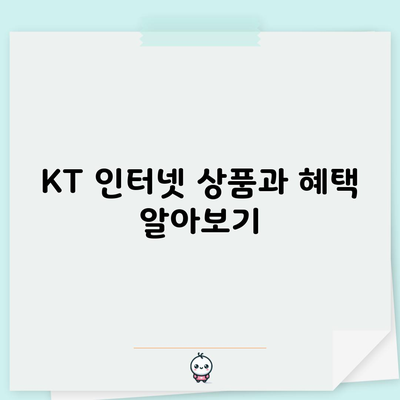 KT 인터넷 상품과 혜택 알아보기