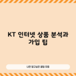 KT 인터넷 상품 분석과 가입 팁